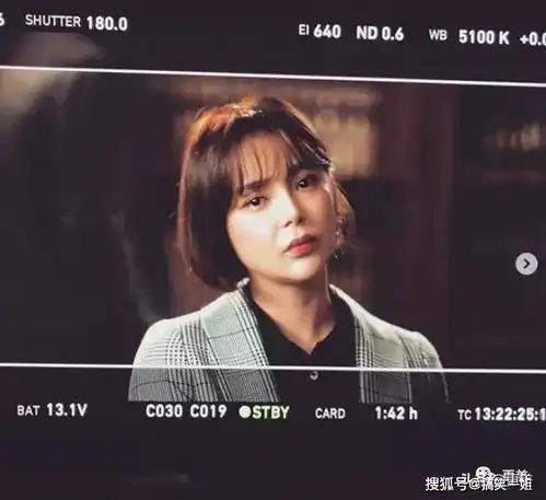 整得比李小璐还假顶级美女曾经红遍中国巅峰时期浪荡入狱