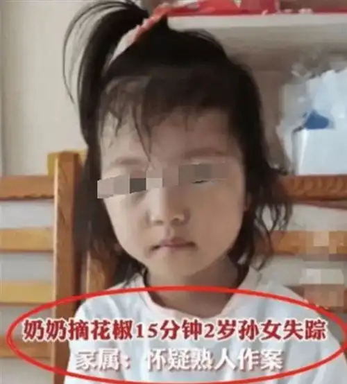 山西2岁半女孩失踪,家属悬赏30万,奶奶的一句话引发网友怀疑