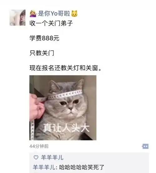 快乐源泉沙雕网友迷惑行为鉴赏大赛第十三期