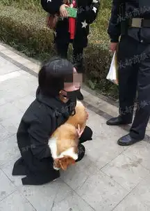 女子捡狗疑索酬不成摔死狗后道歉狗主人不接受