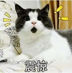 福建女子出门遛狗,却被别的狗咬伤致十级伤残法院判了....