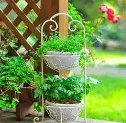 咱家以后也用这个,太漂亮了