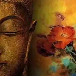 在线收听心洞荔枝fm
