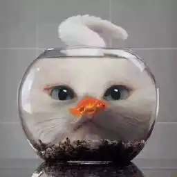 春风十里不如你来寻