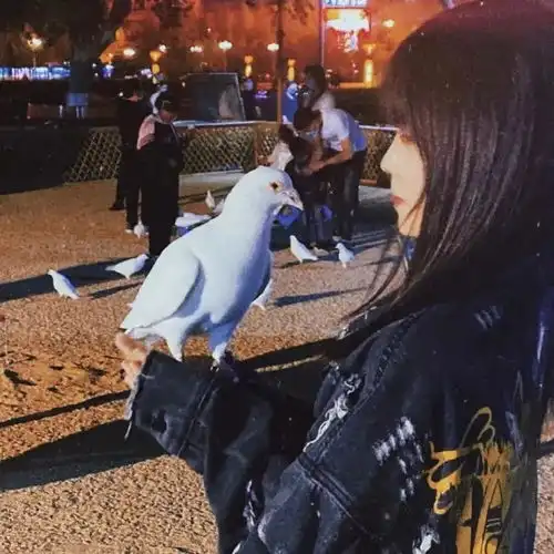 真人女生头像陪你看日落的人比日落更浪漫