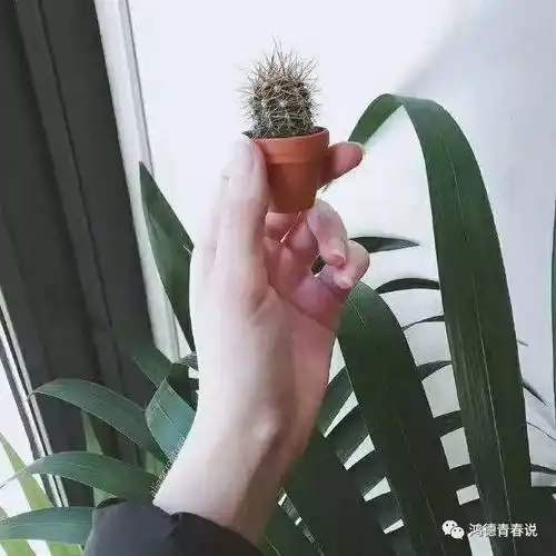 女生手拿花唯美图片头像