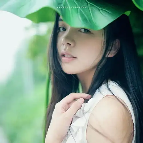 我的收藏