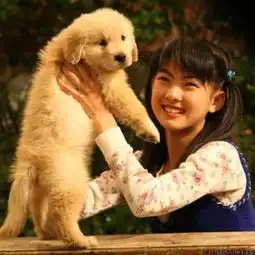 女生和狗狗的头像十个约