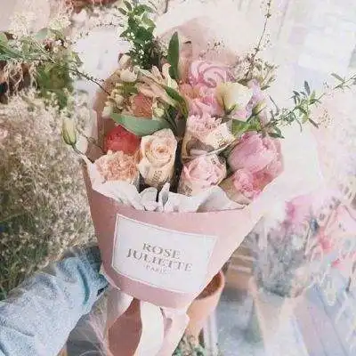 六i合联盟正版资料查询