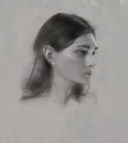 大神用ps画素描,潇洒的笔触展现女性神韵,狂吸8万粉
