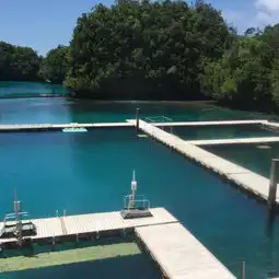 上帝的水族馆,海中的精灵2015帕劳亲子游