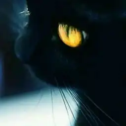 在线收听首己的播客荔枝