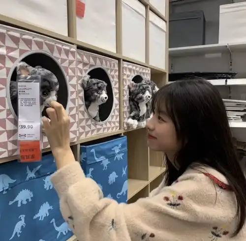 推荐女孩子看的文案