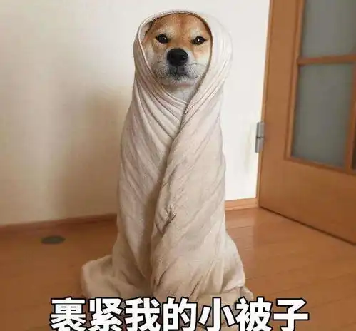 老人被狗绳绊倒,面朝地狠狠摔倒,救治无效生亡,作为爱狗人士如何防止该种情况