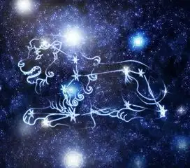 属羊人狮子座男生性格