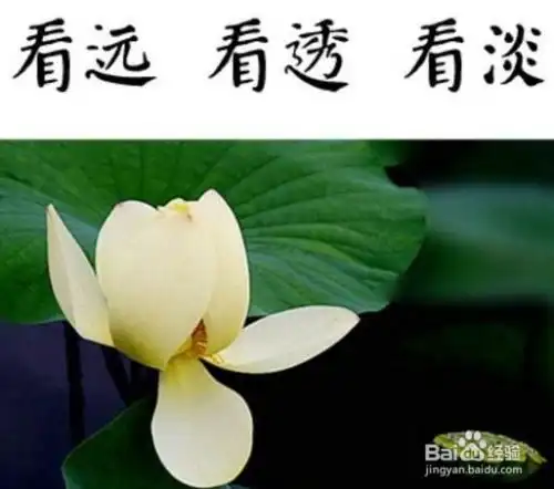 看淡一切释怀的头像男鲜
