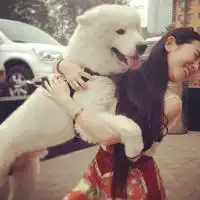 求这个样的女生头像,不要别的就要摸狗狗带狗狗的,而且还是这种大狗狗