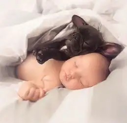 喜欢斗牛吗巧了,这里刚好有一波