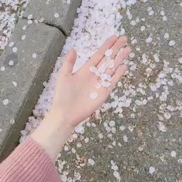 rngvsig三场比赛完整版