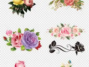 粉色唯美玫瑰花朵花瓣png透明手绘素材图片模板下载69.83mb花卉大全自然