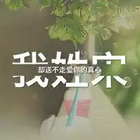 微信头像宋姓氏专用