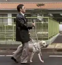 记得吗与狗狗的十个约定