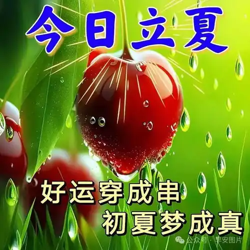 2025年5月5日今日立夏,立夏图片和祝福语精选,愿你快乐一夏,幸运一夏立夏快乐思念爱情甜蜜好运网易订阅