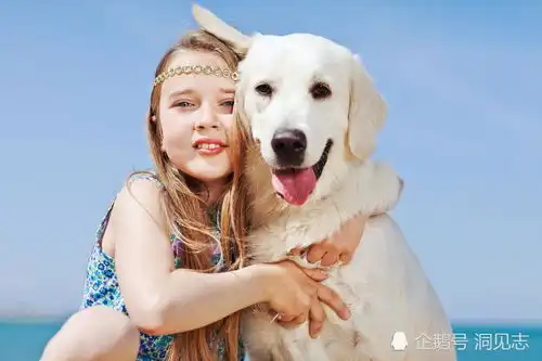12岁女孩遛别人家的狗,狗绳挣脱绊倒88岁老婆婆,责任到底该谁