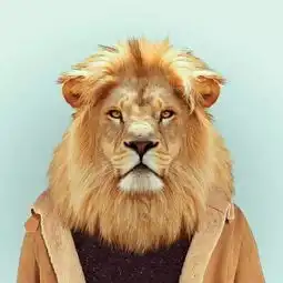可爱性感的,卖萌娇娆的,风情万种令人耳目一新的他们登台出镜了