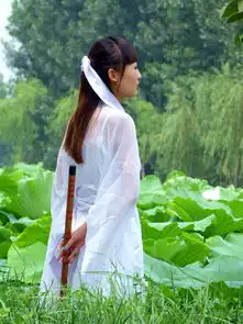一组人像白衣侠女