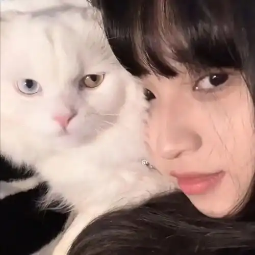 对象不是人系列情头当你一个人熬过所有爱不爱真的不重要了