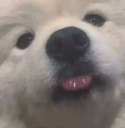 水每日必看舞台