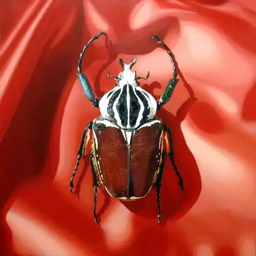 看完这些画,摄影师把相机砸了,学画者把画作撕了,你咋办