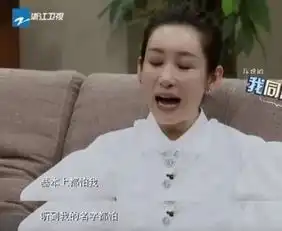 正面刚黄晓明,秦海璐这女人不简单