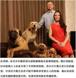 陪伴女子多年的狗狗去世女子比我丈夫还要重要
