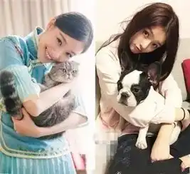 林允自曝某女星总买水军黑她,网友问是倪妮吗