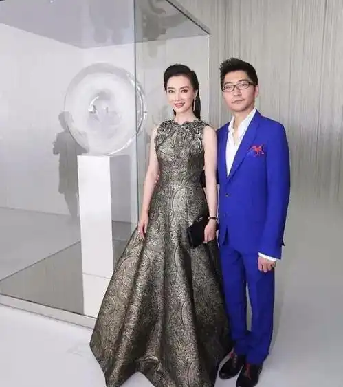 陈数携丈夫优雅出现,身着豪华晚礼服气场全开,赵胤胤跟随全程护驾