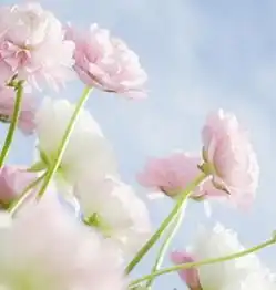 3个蜜月小计划让旅行更甜蜜