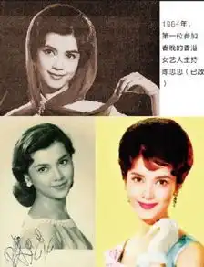2012龙年春晚哈文怀旧历年春晚美女主持你最爱谁