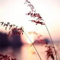 好看唯美的古典风景微信头像微信头像图片大全