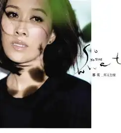 黑白头像女中年那英