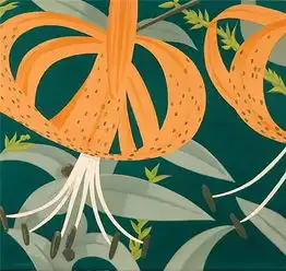 alexkatz式中产阶级情书