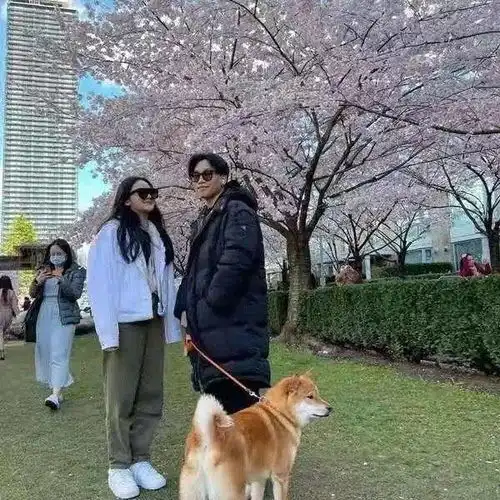 发型决定颜值陈坤儿子晒与美女合照引初恋猜疑,曾说要嫁给爸爸