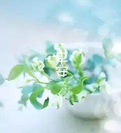 早安心语唯美早安心语优美的语句