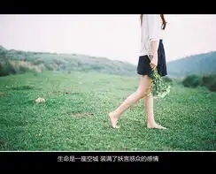 美图情感意境意境