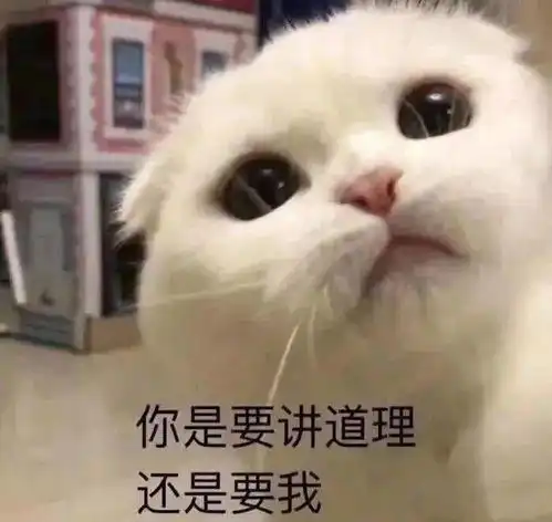 小仙女表情包用起来