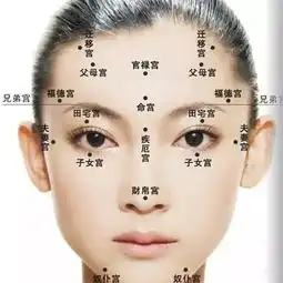 女人旺事业头像面相