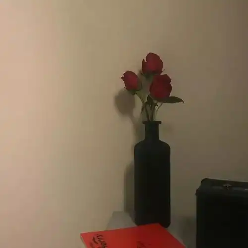 背景图人生短暂,喜欢就要互相纠缠