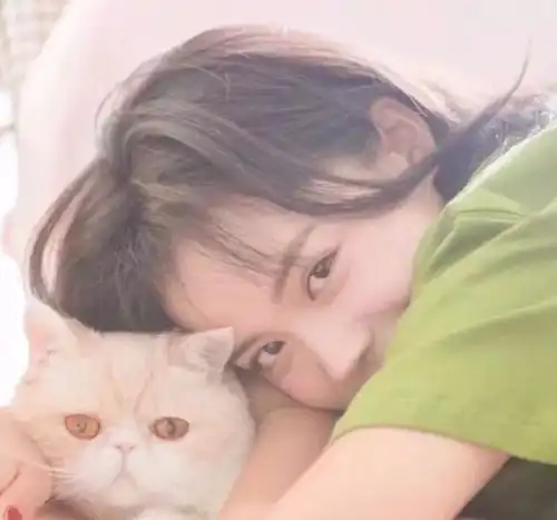 十二星座身价谁最贵,十二星座身价排名,你身价多少快来看看吧