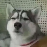 一个不寒而栗的冷知识